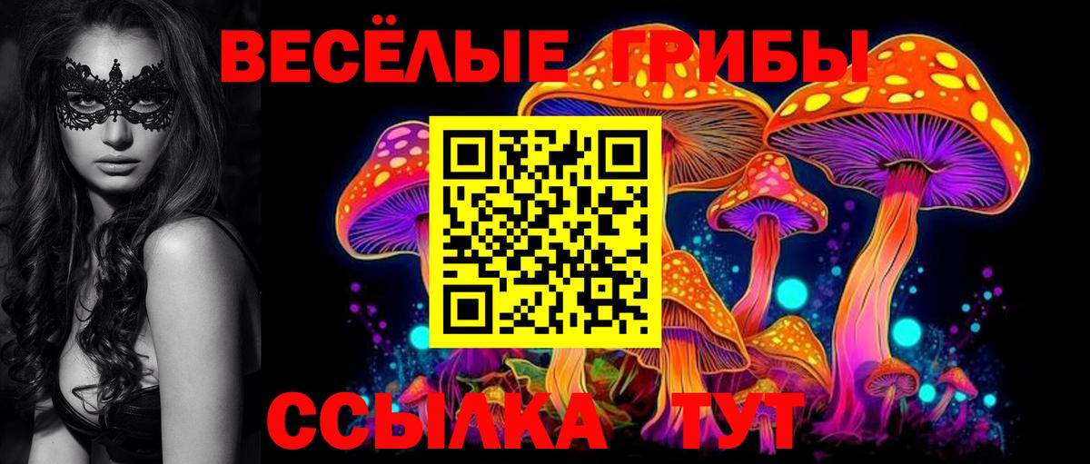 Серов  Псилоцибиновые грибы прущие грибы  Вход с VPN 