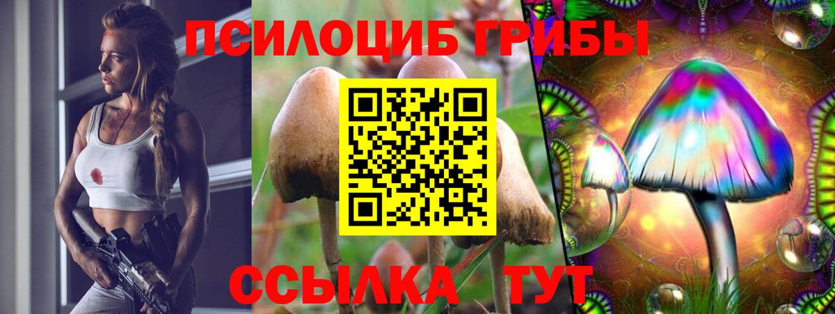 Галлюциногенные грибы мухоморы Серов